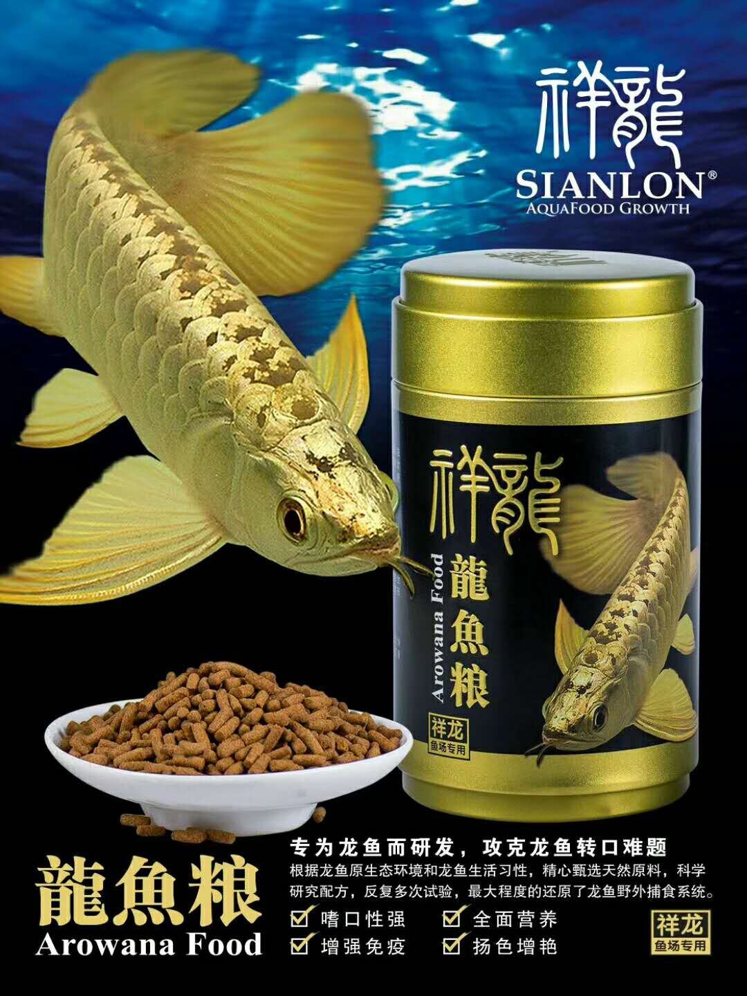 Daejeon Golden dragon fish food