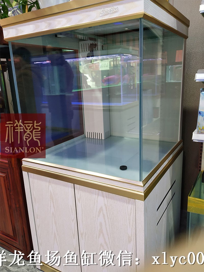 Daejeon Xianglong aquarium customization