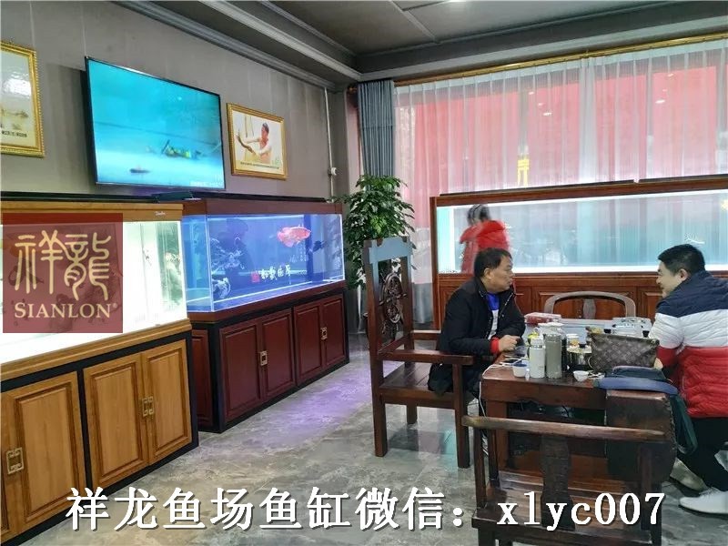 Daejeon Xianglong home decoration Aquarium