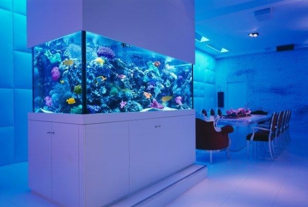 Daejeon Acrylic aquarium customized