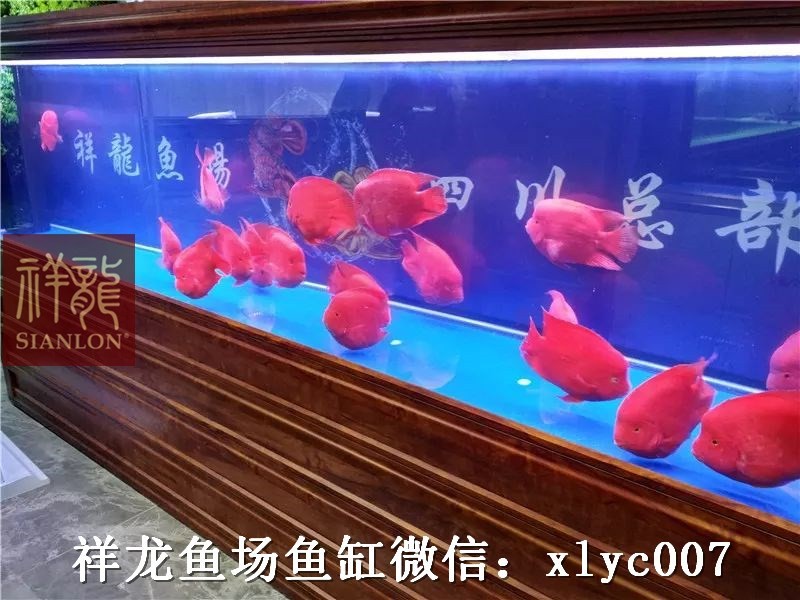 Daejeon Custom made aquarium in hotel exhibition hall