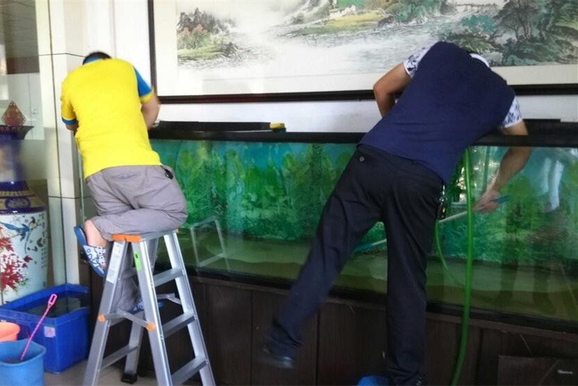 Daejeon Fish tank cleaning and maintenance