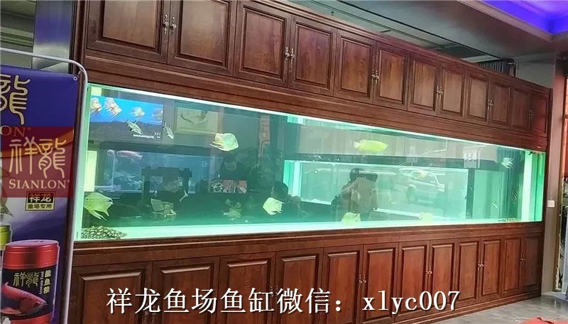 Daejeon Large aquarium customized 6M