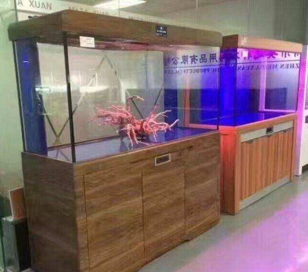 Daejeon Mahogany Aquarium